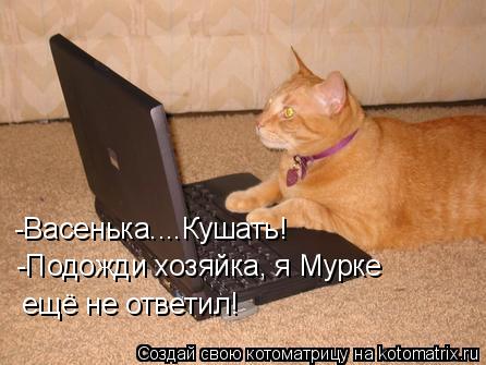 -Васенька....Кушать! -Подожди хозяйка, я Мурке ещё не ответил!... Котоматрица: -Васенька....Кушать! -Подожди хозяйка, я Мурке ещё не ответил!