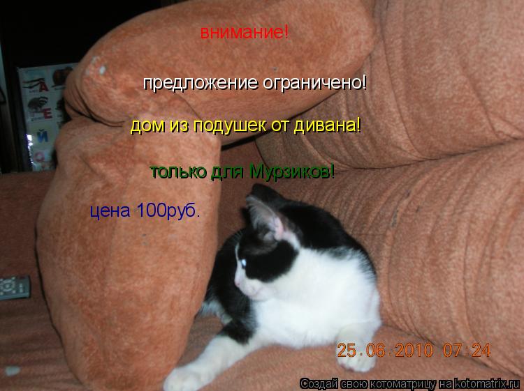 предложение ограничено! внимание! дом из подушек от дивана! только для Мурзиков! цена 100руб.... Котоматрица: предложение ограничено! внимание! дом из подушек от дивана! только для Мурзиков! цена 100руб.