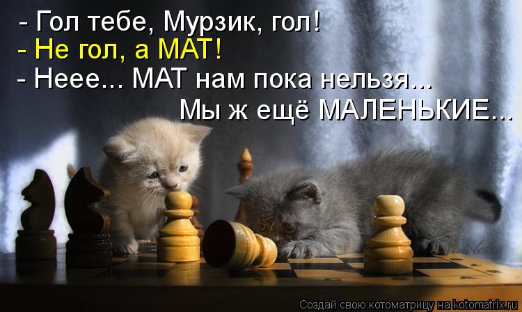 Котоматрица: - Гол тебе, Мурзик, гол! - Не гол, а МАТ! - Неее... МАТ нам пока нельзя... Мы ж ещё МАЛЕНЬКИЕ...