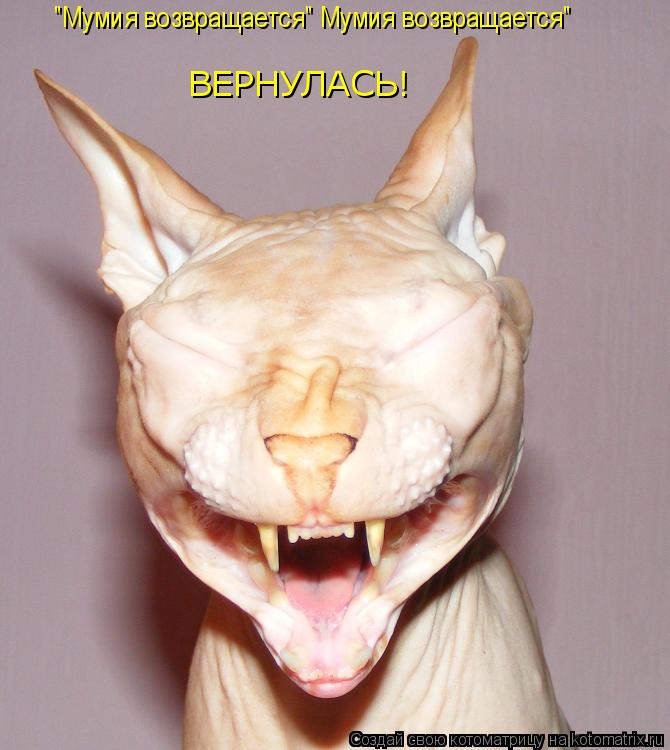 "Мумия возвращается" Мумия возвращается" ВЕРНУЛАСЬ!... Котоматрица: "Мумия возвращается" Мумия возвращается" ВЕРНУЛАСЬ!