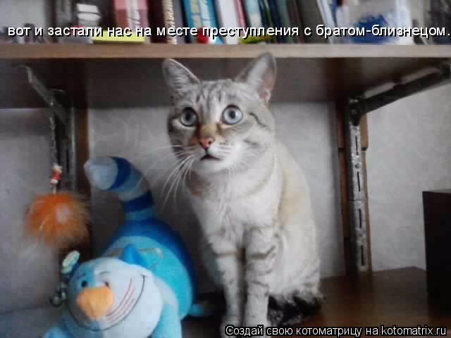 вот и застали нас на месте преступления с братом-близнецом...... Котоматрица: вот и застали нас на месте преступления с братом-близнецом...