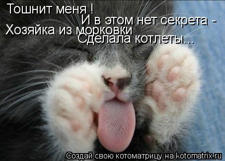 Тошнит меня ! И в этом нет секрета - Хозяйка из морковки Сделала котлеты...... Котоматрица: Тошнит меня ! И в этом нет секрета - Хозяйка из морковки Сделала котлеты...