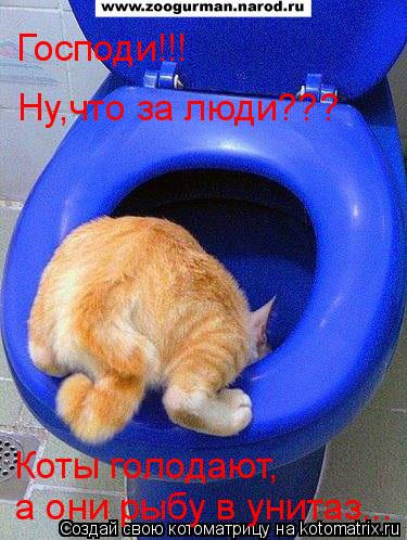 Господи!!! Ну,что за люди??? Коты голодают, а они рыбу в унитаз...... Котоматрица: Господи!!! Ну,что за люди??? Коты голодают, а они рыбу в унитаз...