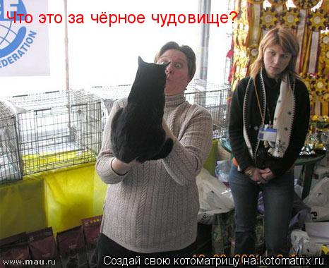 Что это за чёрное чудовище?... Котоматрица: Что это за чёрное чудовище?