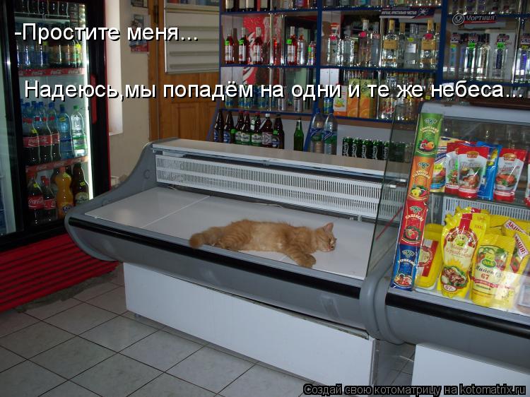 -Простите меня... Надеюсь,мы попадём на одни и те же небеса...... Котоматрица: -Простите меня... Надеюсь,мы попадём на одни и те же небеса...