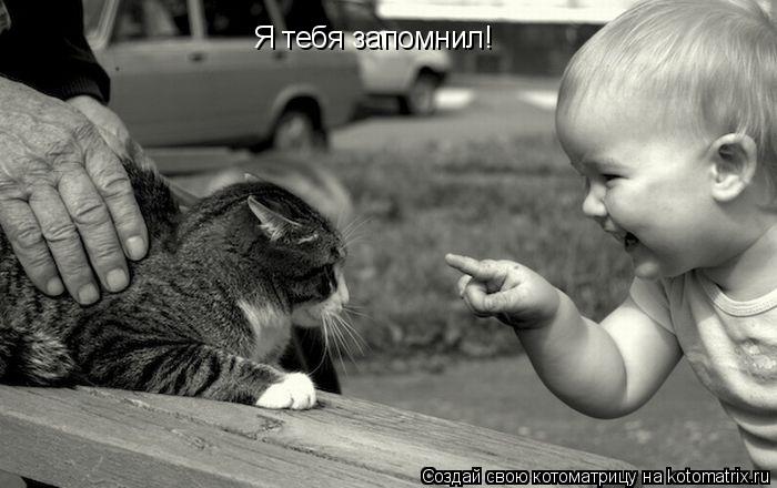 Котоматрица: Я тебя запомнил!