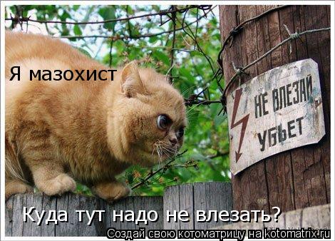 Я мазохист Куда тут надо не влезать?... Котоматрица: Я мазохист Куда тут надо не влезать?