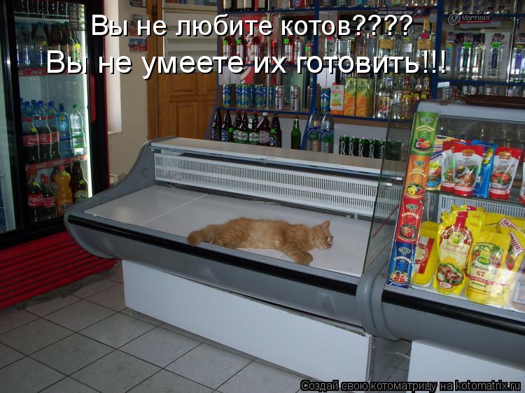 Вы не любите котов???? Вы не умеете их готовить!!!... Котоматрица: Вы не любите котов???? Вы не умеете их готовить!!!