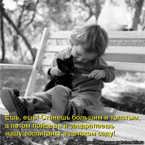 Котоматрица: Ешь, ешь! Станешь большим и толстым,  а потом пойдешь и зацарапаешь  нашу воспиталку в детском саду!