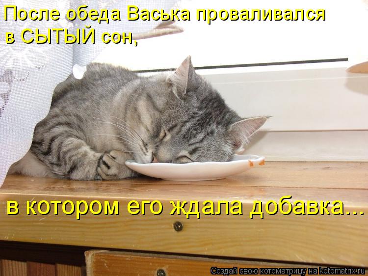 После обеда Васька проваливался в СЫТЫЙ сон, в котором его ждала добавка...... Котоматрица: После обеда Васька проваливался в СЫТЫЙ сон, в котором его ждала добавка...
