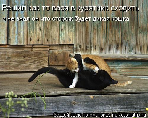 Решил как то вася в курятник сходить и не знал он что сторож будет дикая кошка... Котоматрица: Решил как то вася в курятник сходить и не знал он что сторож будет дикая кошка