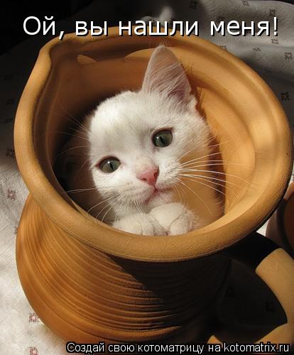 Ой, вы нашли меня!... Котоматрица: Ой, вы нашли меня!
