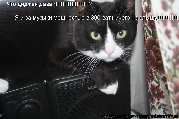 Котоматрица: Что диджеи даваи!!!!!!!!!!!!!!!!!!!? Я и за музыки мощностью в 300 ват ничего не слышу!!!!!!!!!!!!!!!!!
