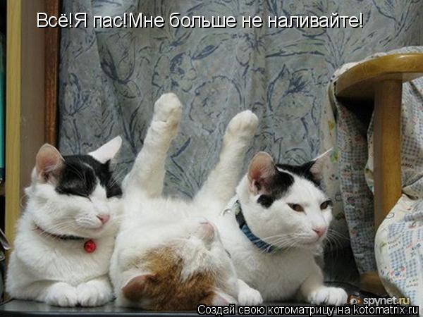 Всё!Я пас!Мне больше не наливайте!... Котоматрица: Всё!Я пас!Мне больше не наливайте!