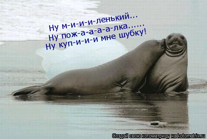 Ну м-и-и-и-ленький... Ну пож-а-а-а-а-лка...... Ну куп-и-и-и мне шубку!... Котоматрица: Ну м-и-и-и-ленький... Ну пож-а-а-а-а-лка...... Ну куп-и-и-и мне шубку!