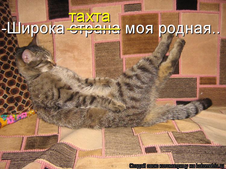 -Широка страна моя родная.. ______ тахта... Котоматрица: -Широка страна моя родная.. ______ тахта