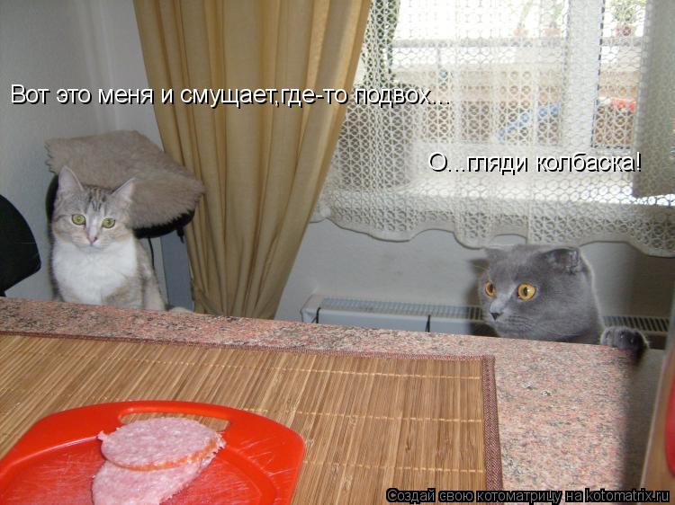 О...гляди колбаска! Вот это меня и смущает,где-то подвох...... Котоматрица: О...гляди колбаска! Вот это меня и смущает,где-то подвох...
