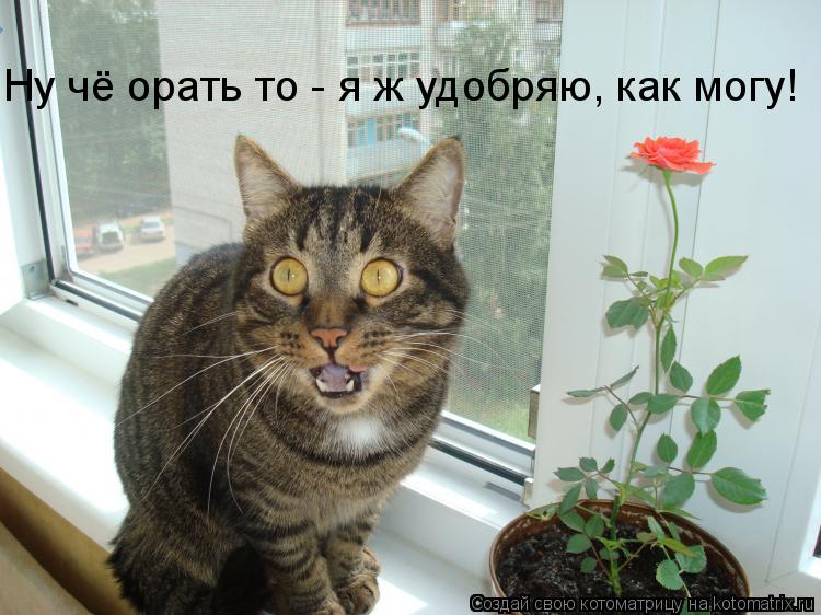 Ну чё орать то - я ж удобряю, как могу!... Котоматрица: Ну чё орать то - я ж удобряю, как могу!