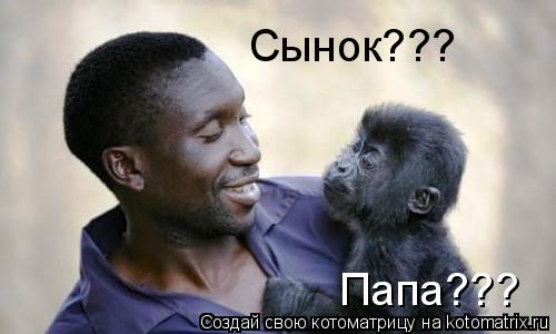 Папа??? Сынок???... Котоматрица: Папа??? Сынок???