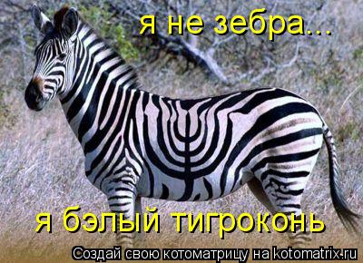 я не зебра... я бэлый тигроконь... Котоматрица: я не зебра... я бэлый тигроконь