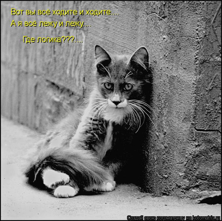 Вот вы всё ходите и ходите.... А я всё лежу и лежу.... Где логика???....... Котоматрица: Вот вы всё ходите и ходите.... А я всё лежу и лежу.... Где логика???....