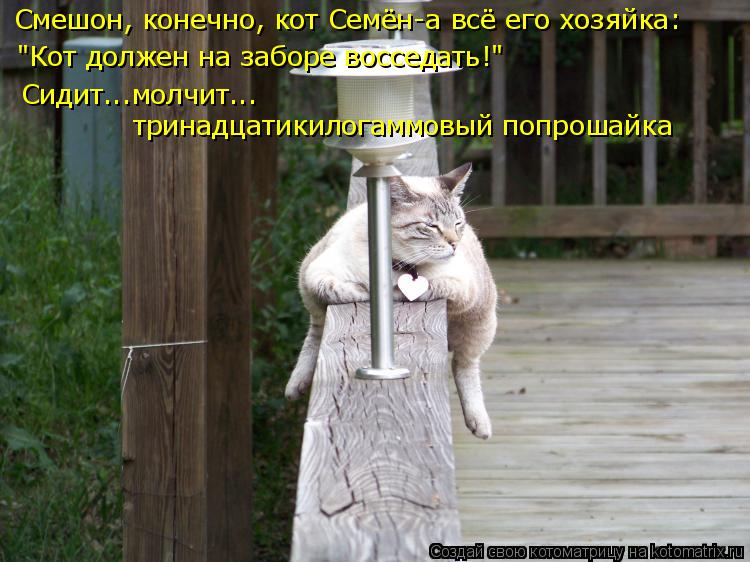 "Кот должен на заборе восседать!" Смешон, конечно, кот Семён-а всё его хозяйка: Сидит...молчит... три... Котоматрица: "Кот должен на заборе восседать!" Смешон, конечно, кот Семён-а всё его хозяйка: Сидит...молчит... тринадцатикилогаммовый попрошайка