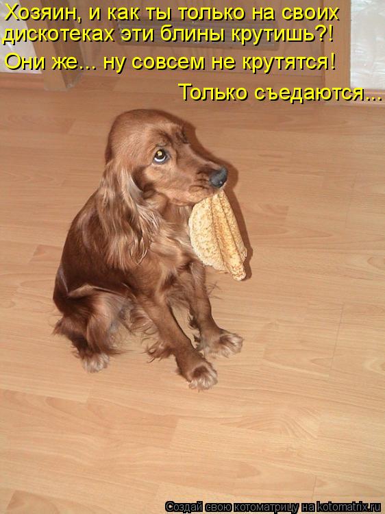 Хозяин, и как ты только на своих дискотеках эти блины крутишь?! Они же... ну совсем не крутятся! Толь... Котоматрица: Хозяин, и как ты только на своих дискотеках эти блины крутишь?! Они же... ну совсем не крутятся! Только съедаются...