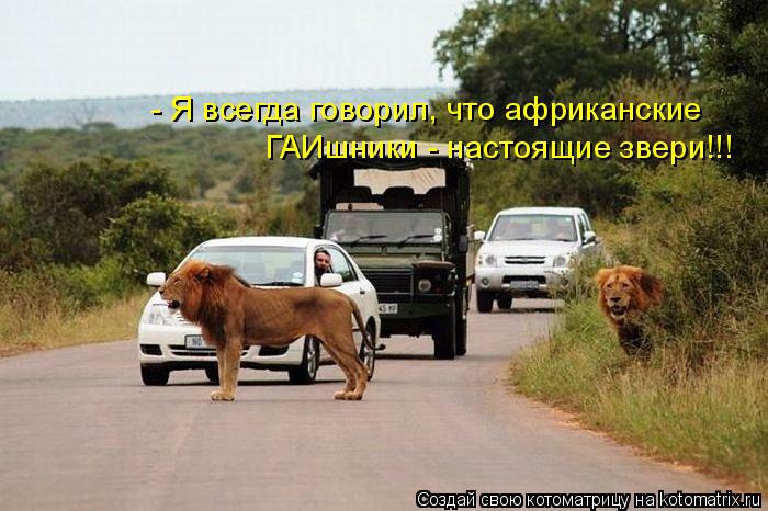 - Я всегда говорил, что африканские ГАИшники - настоящие звери!!!... Котоматрица: - Я всегда говорил, что африканские ГАИшники - настоящие звери!!!