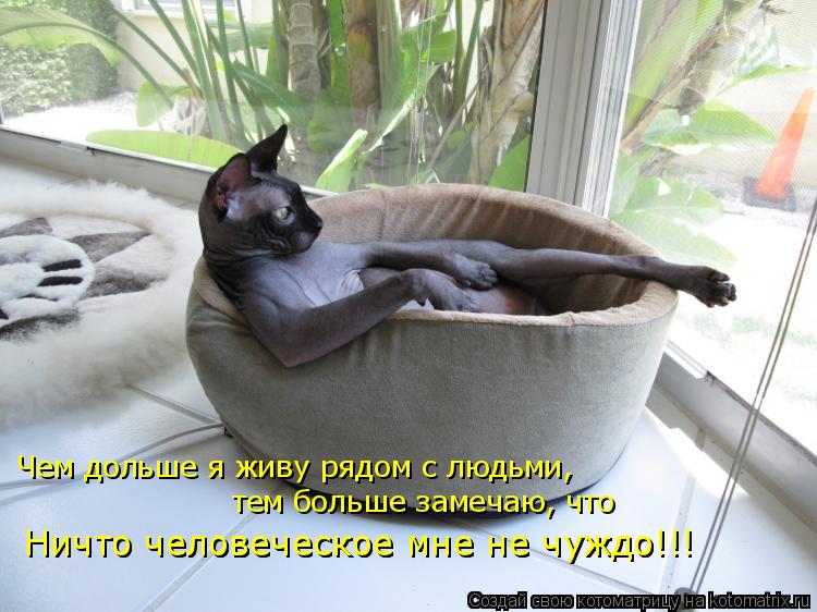 Чем дольше я живу рядом с людьми, тем больше замечаю, что Ничто человеческое мне не чуждо!!! Ничто че... Котоматрица: Чем дольше я живу рядом с людьми, тем больше замечаю, что Ничто человеческое мне не чуждо!!! Ничто человеческое мне не чуждо!!!