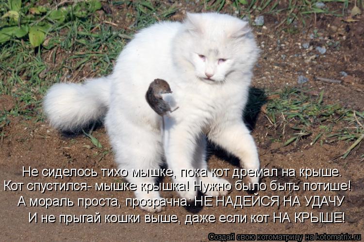 Котоматрица: Не сиделось тихо мышке, пока кот дремал на крыше. Кот спустился- мышке крышка! Нужно было быть потише! А мораль проста, прозрачна: НЕ НАДЕЙСЯ 