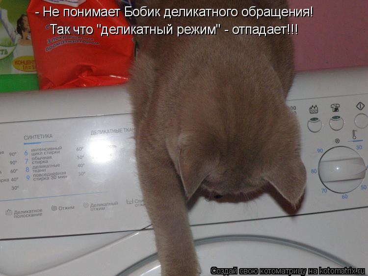 - Не понимает Бобик деликатного обращения! Так что "деликатный режим" - отпадает!!!... Котоматрица: - Не понимает Бобик деликатного обращения! Так что "деликатный режим" - отпадает!!!