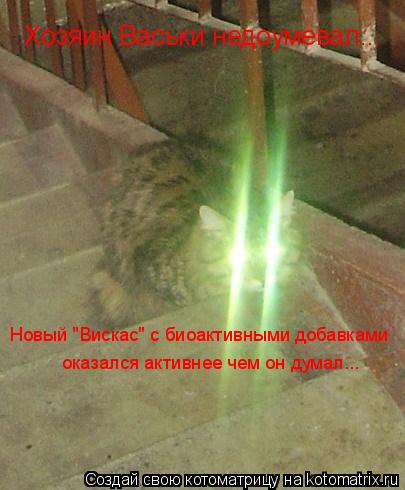 Хозяин Васьки недоумевал... Новый "Вискас" с биоактивными добавками оказался активнее чем он думал...... Котоматрица: Хозяин Васьки недоумевал... Новый "Вискас" с биоактивными добавками оказался активнее чем он думал...