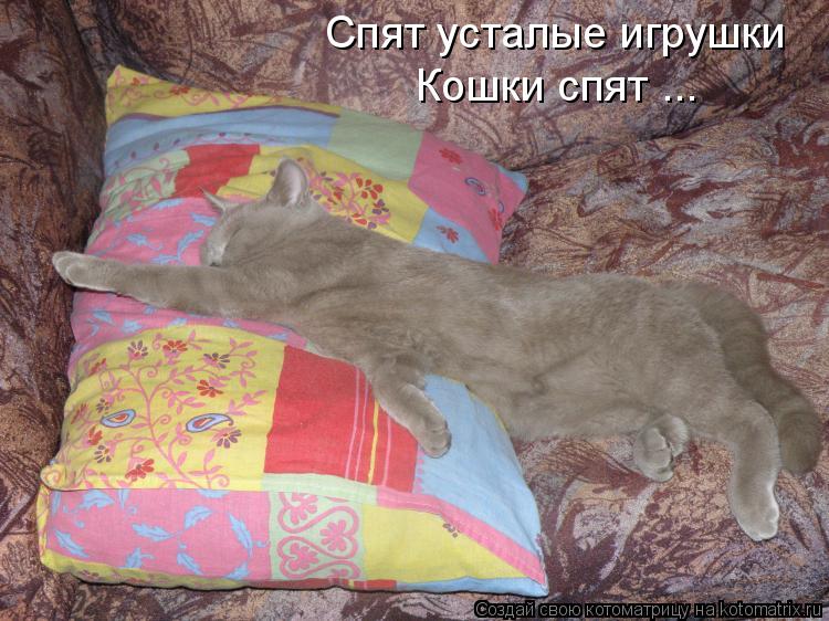Котоматрица: Спят усталые игрушки Кошки спят ...