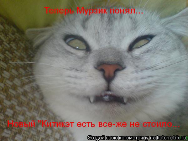 Теперь Мурзик понял... Новый "Китикэт есть все-же не стоило...... Котоматрица: Теперь Мурзик понял... Новый "Китикэт есть все-же не стоило...