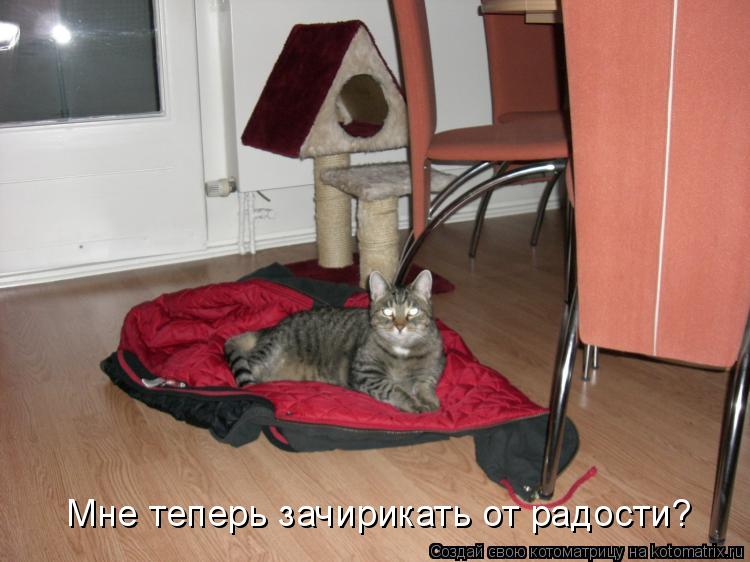 Мне теперь зачирикать от радости?... Котоматрица: Мне теперь зачирикать от радости?