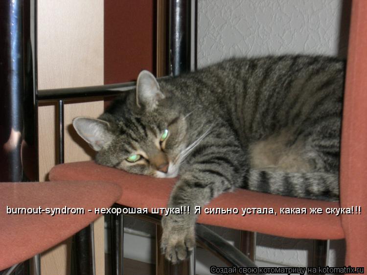 burnout-syndrom - нехорошая штука!!! Я сильно усталa, какая же скука!!!... Котоматрица: burnout-syndrom - нехорошая штука!!! Я сильно усталa, какая же скука!!!