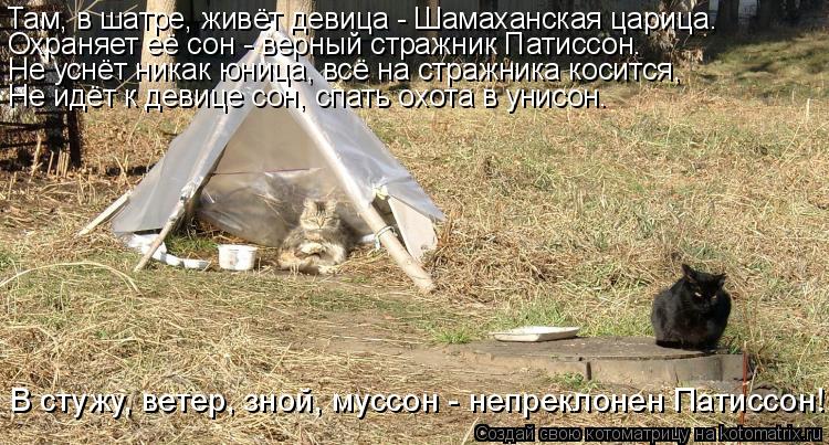 Там, в шатре, живёт девица - Шамаханская царица. Охраняет её сон - верный стражник Патиссон. Не уснёт... Котоматрица: Там, в шатре, живёт девица - Шамаханская царица. Охраняет её сон - верный стражник Патиссон. Не уснёт никак юница, всё на стражника косится, Не