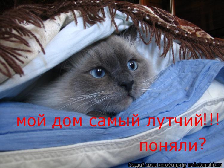 Котоматрица: мой дом самый лутчий поняли ? !!!