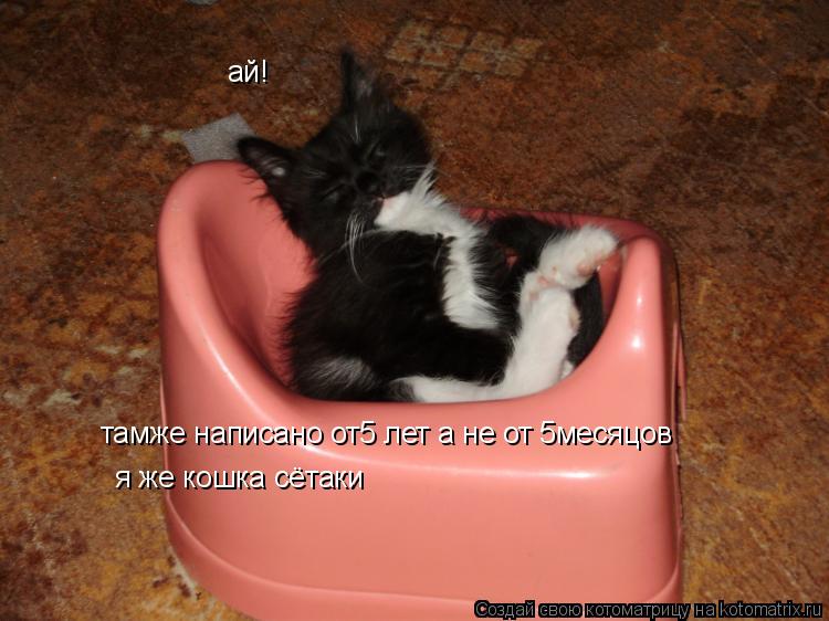 ай! тамже написано от5 лет а не от 5месяцов я же кошка сётаки... Котоматрица: ай! тамже написано от5 лет а не от 5месяцов я же кошка сётаки