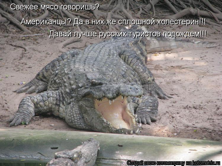 Свежее мясо говоришь? Американцы? Да в них же сплошной холестерин!!! Давай лучше русских туристов под... Котоматрица: Свежее мясо говоришь? Американцы? Да в них же сплошной холестерин!!! Давай лучше русских туристов подождем!!!