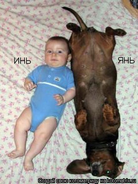 ИНЬ ЯНЬ... Котоматрица: ИНЬ ЯНЬ
