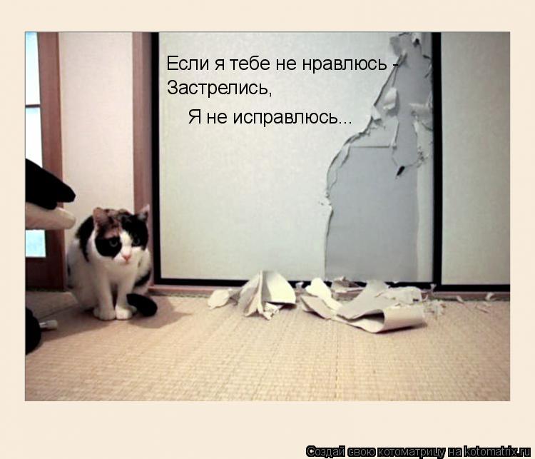 Если я тебе не нравлюсь - Застрелись, Я не исправлюсь...... Котоматрица: Если я тебе не нравлюсь - Застрелись, Я не исправлюсь...