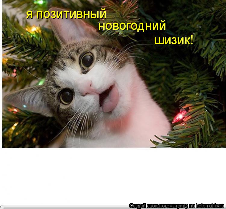 я позитивный новогодний шизик!... Котоматрица: я позитивный новогодний шизик!