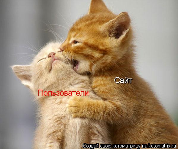 Сайт Пользователи... Котоматрица: Сайт Пользователи