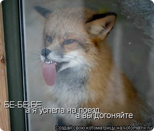 БЕ-БЕ-БЕ... а я успела на поезд, а вы догоняйте... Котоматрица: БЕ-БЕ-БЕ... а я успела на поезд, а вы догоняйте