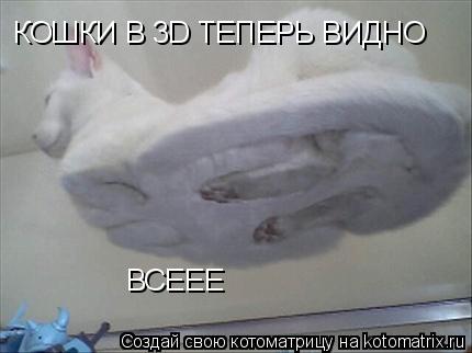 Котоматрица: КОШКИ В 3D ТЕПЕРЬ ВИДНО  ВСЕЕЕ
