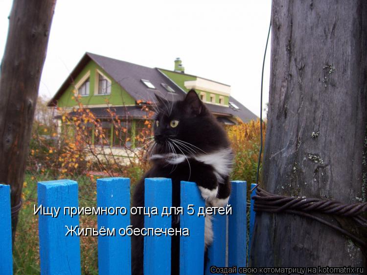 Котоматрица: Ищу приемного отца для 5 детей Жильём обеспечена