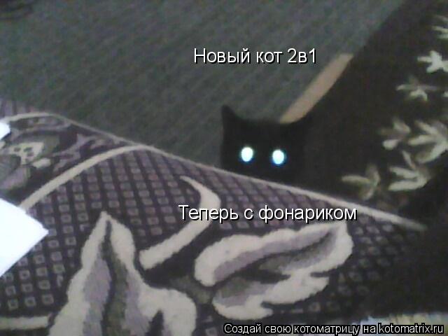 Новый кот 2в1 Теперь с фонариком... Котоматрица: Новый кот 2в1 Теперь с фонариком