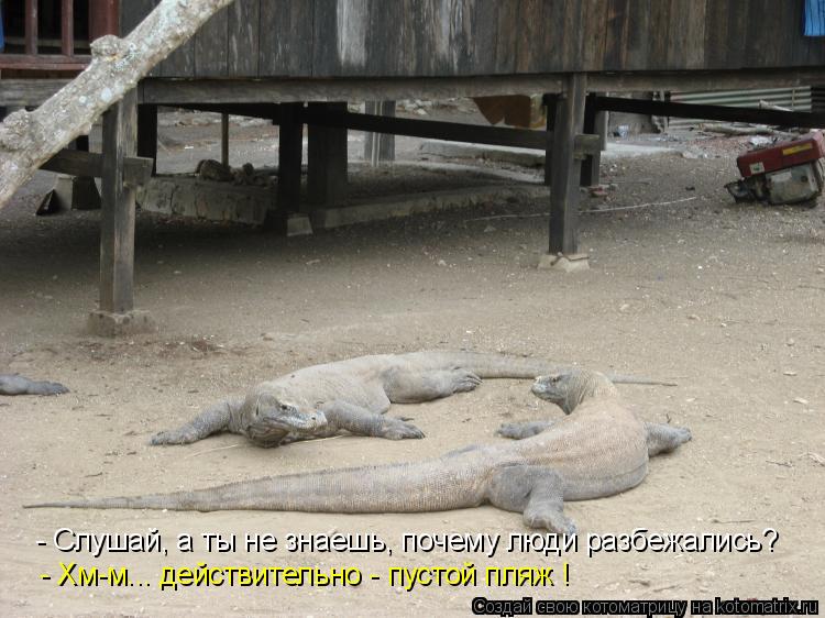 - Слушай, а ты не знаешь, почему люди разбежались? - Хм-м... действительно - пустой пляж !... Котоматрица: - Слушай, а ты не знаешь, почему люди разбежались? - Хм-м... действительно - пустой пляж !
