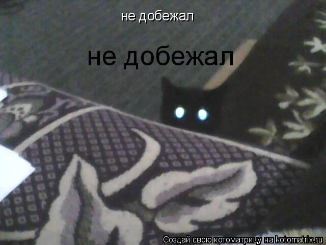 не добежал не добежал... Котоматрица: не добежал не добежал